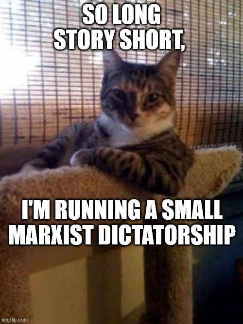 The Most Interesting Cat In The World | SO LONG STORY SHORT, I'M RUNNING A SMALL MARXIST DICTATORSHIP | image tagged in memes,the most interesting cat in the world | made w/ Imgflip meme maker