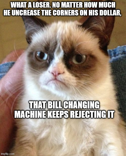 Grumpy Cat | WHAT A LOSER. NO MATTER HOW MUCH HE UNCREASE THE CORNERS ON HIS DOLLAR, THAT BILL CHANGING MACHINE KEEPS REJECTING IT | image tagged in memes,grumpy cat | made w/ Imgflip meme maker