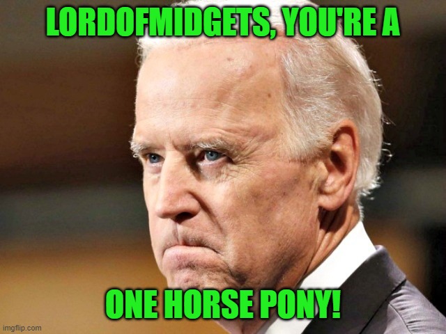 Biden P.O.ed | LORDOFMIDGETS, YOU'RE A ONE HORSE PONY! | image tagged in biden p o ed | made w/ Imgflip meme maker