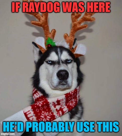 Happy Christmas Husky | IF RAYDOG WAS HERE HE'D PROBABLY USE THIS | image tagged in happy christmas husky | made w/ Imgflip meme maker