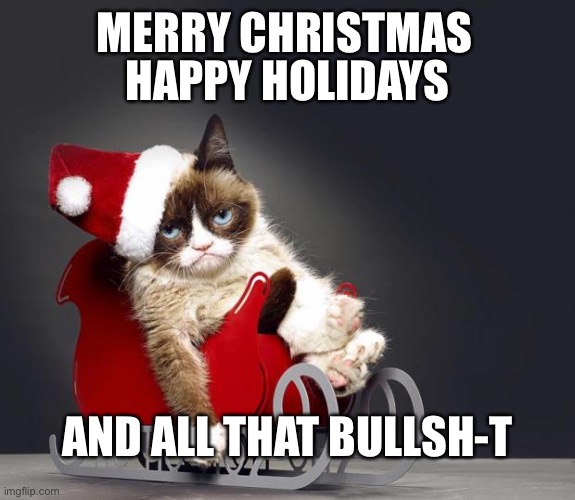 Grumpy Cat Christmas HD | MERRY CHRISTMAS; HAPPY HOLIDAYS; AND ALL THAT BULLSH-T | image tagged in grumpy cat christmas hd | made w/ Imgflip meme maker