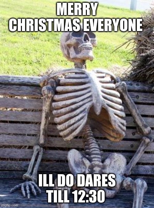 no peronal stuff but can be herny like meh | MERRY CHRISTMAS EVERYONE; ILL DO DARES TILL 12:30 | image tagged in memes,waiting skeleton | made w/ Imgflip meme maker