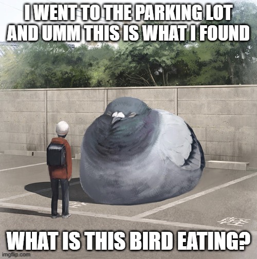I WENT TO THE PARKING LOT AND UMM THIS IS WHAT I FOUND; WHAT IS THIS BIRD EATING? | made w/ Imgflip meme maker