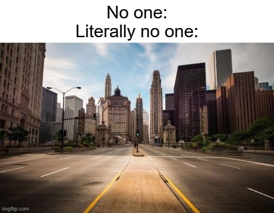 Empty street | No one:
Literally no one: | image tagged in empty street | made w/ Imgflip meme maker