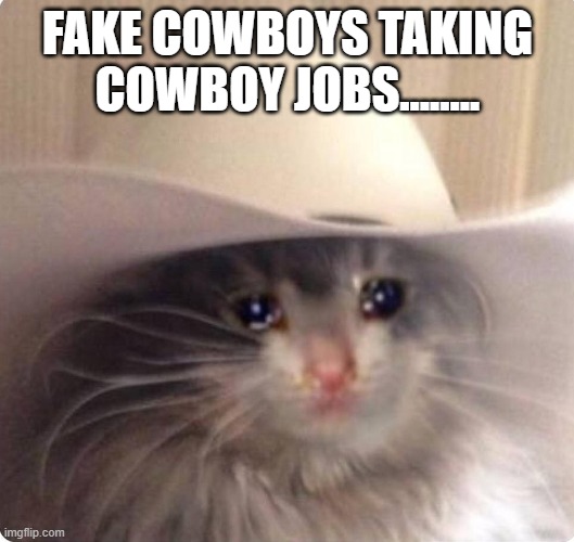 Sad cowboy cat | FAKE COWBOYS TAKING COWBOY JOBS........ | image tagged in sad cowboy cat | made w/ Imgflip meme maker