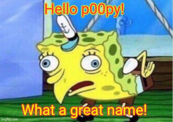 Mocking Spongebob Meme | Hello p00py! What a great name! | image tagged in memes,mocking spongebob | made w/ Imgflip meme maker