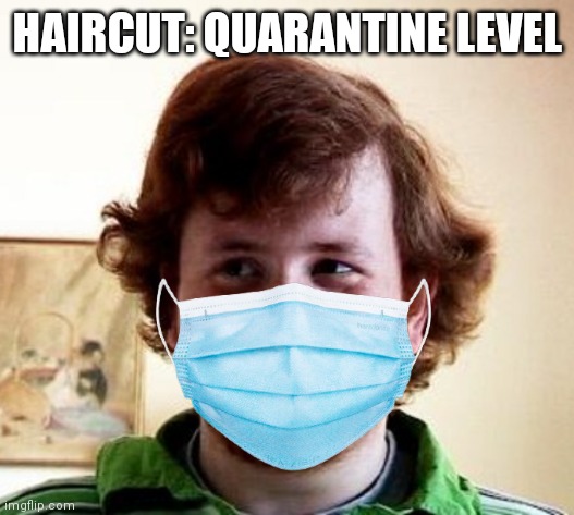 covidmemes | HAIRCUT: QUARANTINE LEVEL | image tagged in covid-19 | made w/ Imgflip meme maker