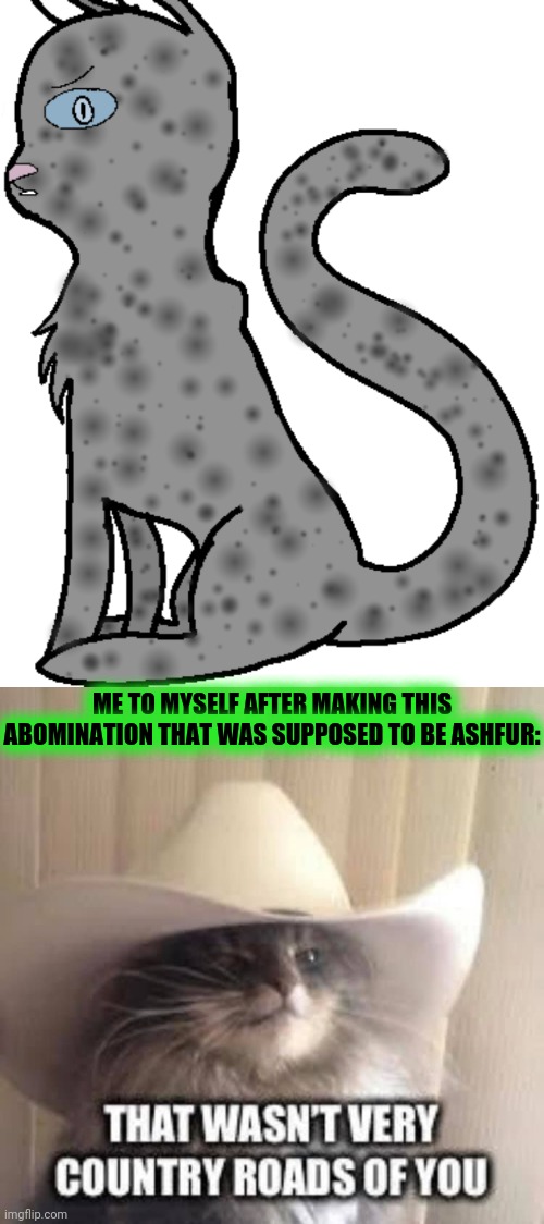 ME TO MYSELF AFTER MAKING THIS ABOMINATION THAT WAS SUPPOSED TO BE ASHFUR: | image tagged in that wasn't very country roads of you | made w/ Imgflip meme maker