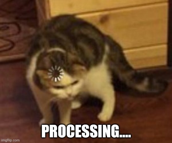 Loading cat | PROCESSING.... | image tagged in loading cat | made w/ Imgflip meme maker