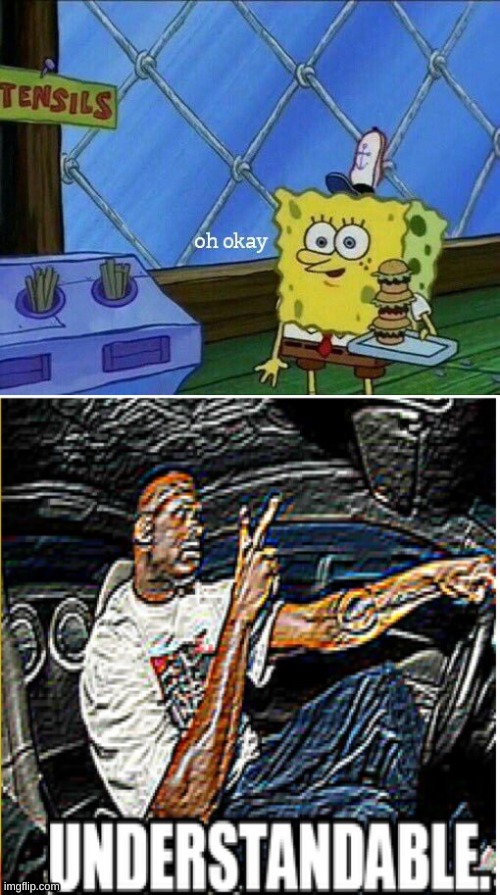 image tagged in oh okay,understandable | made w/ Imgflip meme maker