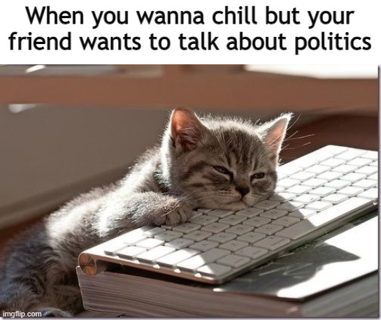 Bored Keyboard Cat | When you wanna chill but your friend wants to talk about politics | image tagged in bored keyboard cat | made w/ Imgflip meme maker