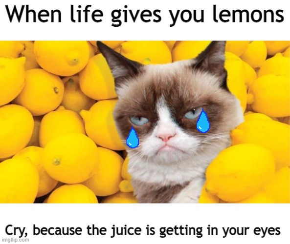 Grumpy Cat lemons | When life gives you lemons; Cry, because the juice is getting in your eyes | image tagged in grumpy cat lemons | made w/ Imgflip meme maker