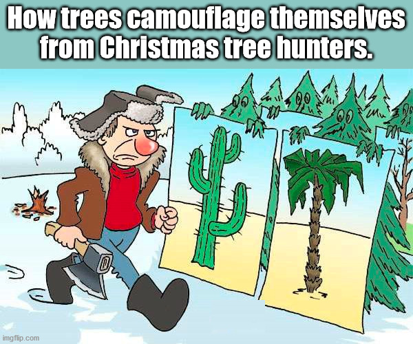 How trees camouflage themselves from Christmas tree hunters. | image tagged in comics/cartoons | made w/ Imgflip meme maker