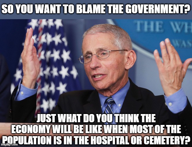 It could be a lot worse | SO YOU WANT TO BLAME THE GOVERNMENT? JUST WHAT DO YOU THINK THE ECONOMY WILL BE LIKE WHEN MOST OF THE POPULATION IS IN THE HOSPITAL OR CEMETERY? | image tagged in dr fauci hands up,coronavirus,hard choice to make,lockdown,death | made w/ Imgflip meme maker
