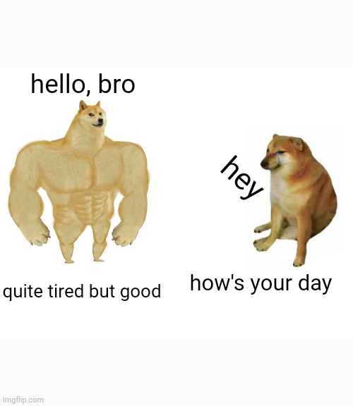 woof i maded this cute | hello, bro; hey; quite tired but good; how's your day | image tagged in memes,buff doge vs cheems | made w/ Imgflip meme maker