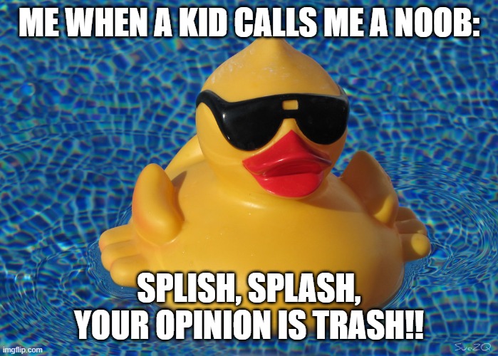 How 2 react 2 toxic kids | ME WHEN A KID CALLS ME A NOOB:; SPLISH, SPLASH, YOUR OPINION IS TRASH!! | image tagged in savage memes | made w/ Imgflip meme maker
