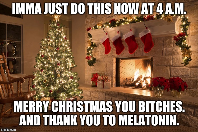 narf | IMMA JUST DO THIS NOW AT 4 A.M. MERRY CHRISTMAS YOU BITCHES.
AND THANK YOU TO MELATONIN. | image tagged in merry christmas | made w/ Imgflip meme maker