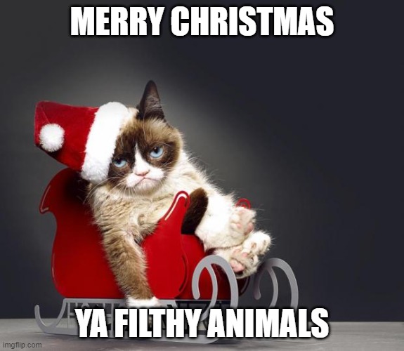 Ya filthy animals |  MERRY CHRISTMAS; YA FILTHY ANIMALS | image tagged in grumpy cat christmas hd | made w/ Imgflip meme maker