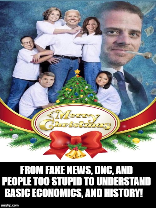 Merry Christmas from Fake News, DNC, and people too stupid to understand! | FROM FAKE NEWS, DNC, AND PEOPLE TOO STUPID TO UNDERSTAND BASIC ECONOMICS, AND HISTORY! | image tagged in stupid liberals | made w/ Imgflip meme maker