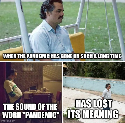 the empty echo in time | WHEN THE PANDEMIC HAS GONE ON SUCH A LONG TIME; THE SOUND OF THE 
WORD "PANDEMIC"; HAS LOST ITS MEANING | image tagged in memes,sad pablo escobar | made w/ Imgflip meme maker