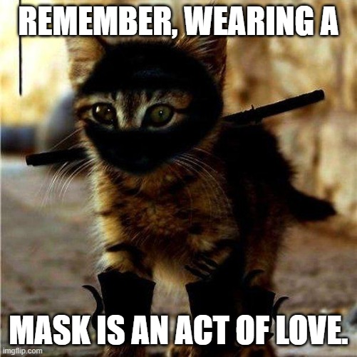 Amy Goodman said this | REMEMBER, WEARING A; MASK IS AN ACT OF LOVE. | image tagged in ninja cat,covid-19,stay safe,healthy,caring,common sense | made w/ Imgflip meme maker