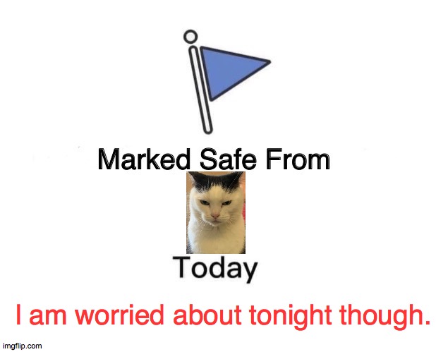 i would if i could but i cat so i won't | l am worried about tonight though. | image tagged in memes,marked safe from,tonight,fear,scary,2020 | made w/ Imgflip meme maker