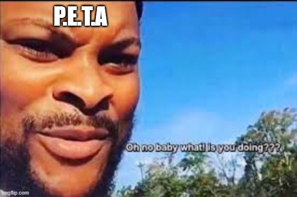 Oh no baby what is you doin | P.E.T.A | image tagged in oh no baby what is you doin | made w/ Imgflip meme maker