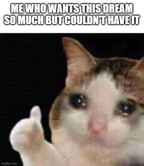Approved crying cat | ME WHO WANTS THIS DREAM SO MUCH BUT COULDN'T HAVE IT | image tagged in approved crying cat | made w/ Imgflip meme maker