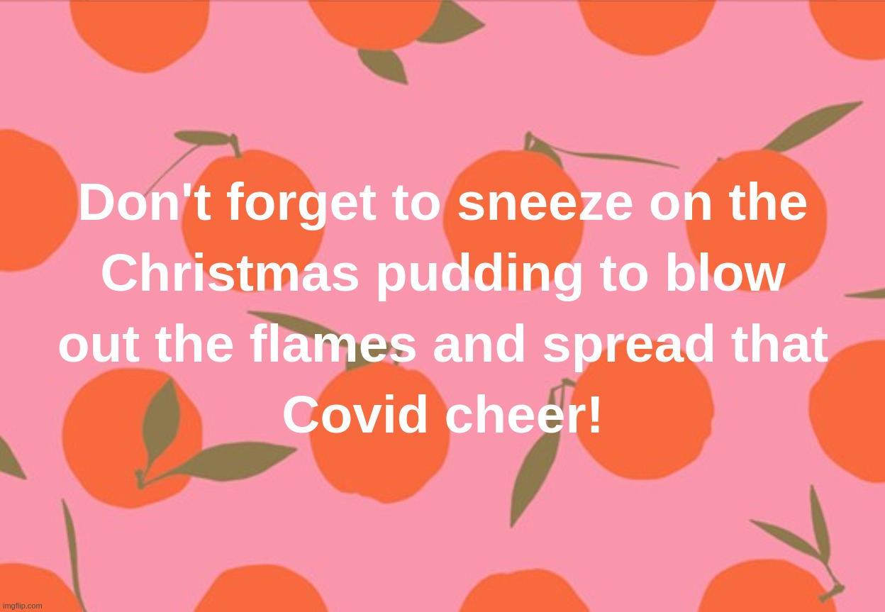 Don't forget to sneeze on the Christmas pudding to blow out the flames and spread that Covid cheer! | image tagged in christmas,day,covid,coronavirus,2020,pudding | made w/ Imgflip meme maker