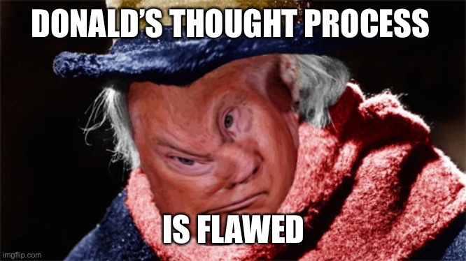 DONALD’S THOUGHT PROCESS IS FLAWED | made w/ Imgflip meme maker