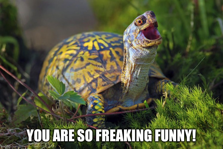 YOU ARE SO FREAKING FUNNY! | made w/ Imgflip meme maker
