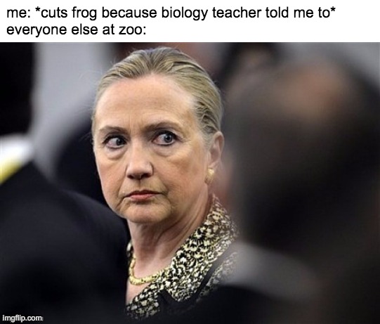 upset hillary | me: *cuts frog because biology teacher told me to*
everyone else at zoo: | image tagged in upset hillary | made w/ Imgflip meme maker