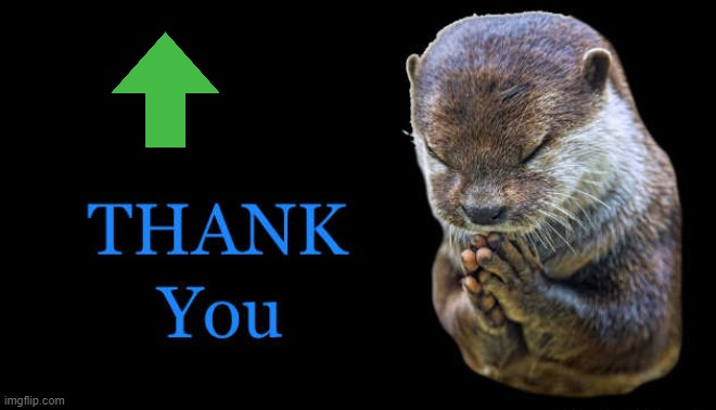 thank you | image tagged in thank you | made w/ Imgflip meme maker