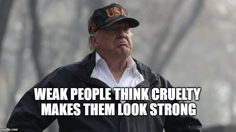 WEAK PEOPLE THINK CRUELTY 
MAKES THEM LOOK STRONG | image tagged in trump | made w/ Imgflip meme maker