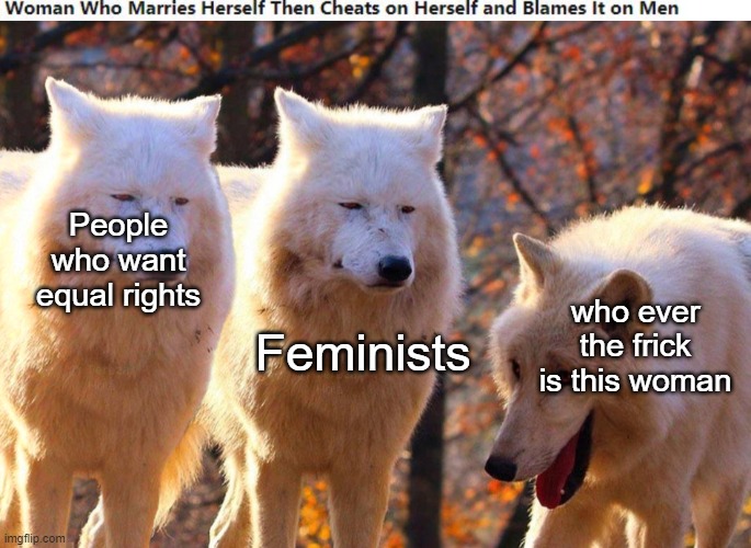 what | Feminists; People who want equal rights; who ever the frick is this woman | image tagged in 1/3 wolves laugh | made w/ Imgflip meme maker