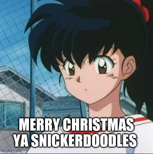 Technically its my Christmas eve but thats not important | MERRY CHRISTMAS YA SNICKERDOODLES | image tagged in kagome has never seen such bullshit | made w/ Imgflip meme maker