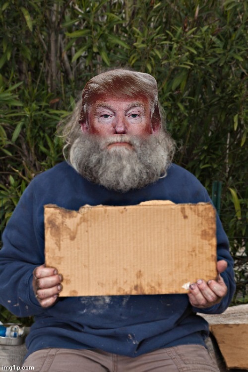 Homeless Trump | image tagged in trump,sign,blak homeless sign,funny | made w/ Imgflip meme maker