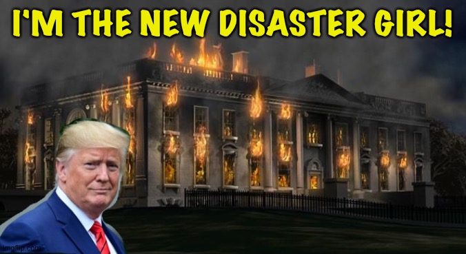 The Donald Is The New Disaster Girl | I'M THE NEW DISASTER GIRL! | image tagged in the donald is the new disaster girl | made w/ Imgflip meme maker