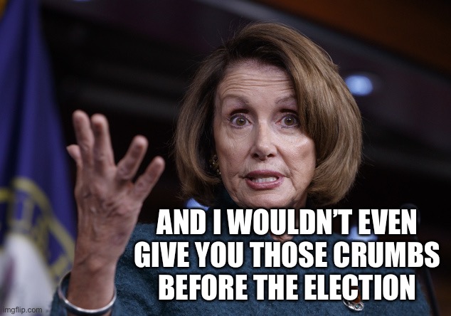Good old Nancy Pelosi | AND I WOULDN’T EVEN GIVE YOU THOSE CRUMBS
 BEFORE THE ELECTION | image tagged in good old nancy pelosi | made w/ Imgflip meme maker