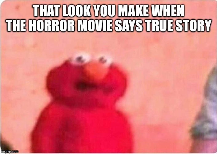 Sickened elmo | THAT LOOK YOU MAKE WHEN THE HORROR MOVIE SAYS TRUE STORY | image tagged in sickened elmo | made w/ Imgflip meme maker