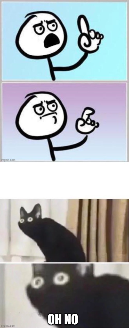 OH NO | image tagged in oh no black cat | made w/ Imgflip meme maker