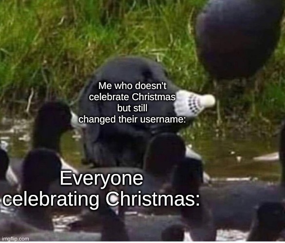 Me who doesn't celebrate Christmas but still changed their username:; Everyone celebrating Christmas: | made w/ Imgflip meme maker