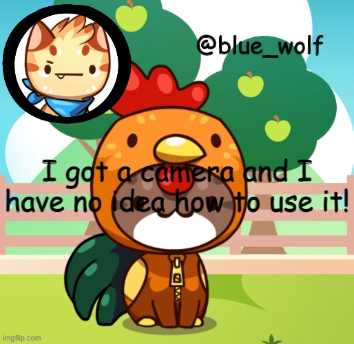 I got a camera and I have no idea how to use it! | image tagged in blue wolfs announcement thing | made w/ Imgflip meme maker