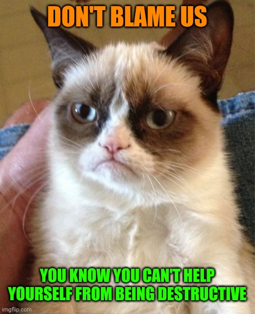 Grumpy Cat Meme | DON'T BLAME US YOU KNOW YOU CAN'T HELP YOURSELF FROM BEING DESTRUCTIVE | image tagged in memes,grumpy cat | made w/ Imgflip meme maker