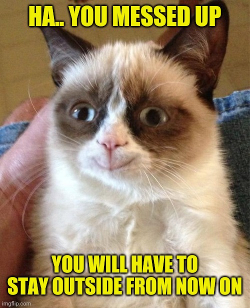 Grumpy Cat Happy Meme | HA.. YOU MESSED UP YOU WILL HAVE TO STAY OUTSIDE FROM NOW ON | image tagged in memes,grumpy cat happy,grumpy cat | made w/ Imgflip meme maker