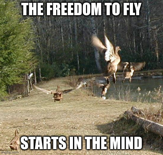 Flying Khaki Campbell | THE FREEDOM TO FLY; STARTS IN THE MIND | image tagged in ducks,fly,free,freedom,mind | made w/ Imgflip meme maker