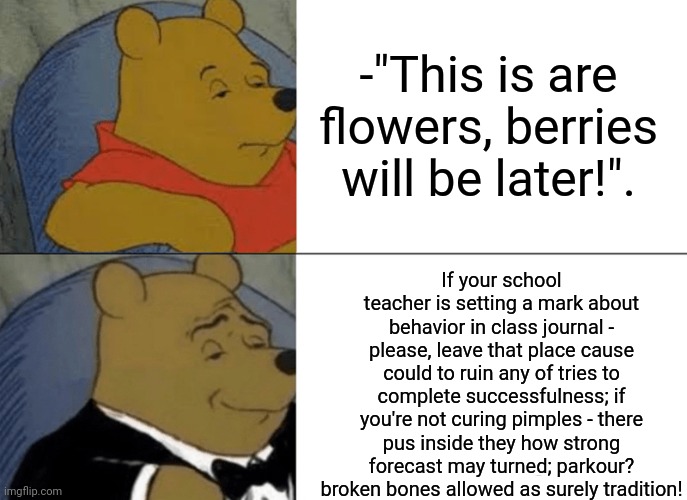 -Folklores phrase. | -"This is are flowers, berries will be later!". If your school teacher is setting a mark about behavior in class journal - please, leave that place cause could to ruin any of tries to complete successfulness; if you're not curing pimples - there pus inside they how strong forecast may turned; parkour? broken bones allowed as surely tradition! | image tagged in memes,tuxedo winnie the pooh,don't you squidward,unhelpful high school teacher,pimples zero,parkour | made w/ Imgflip meme maker