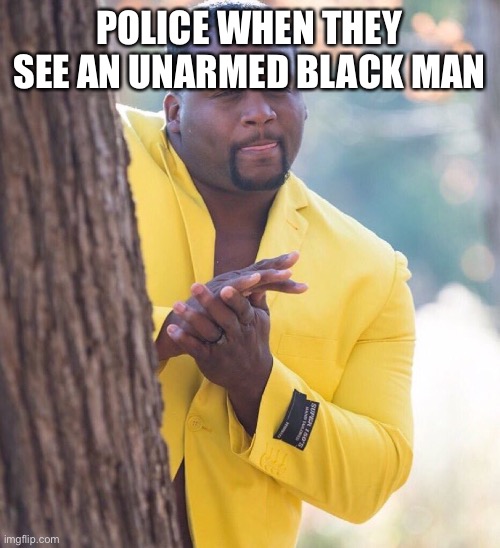 Po po | POLICE WHEN THEY SEE AN UNARMED BLACK MAN | image tagged in black guy hiding behind tree,police,police brutality | made w/ Imgflip meme maker