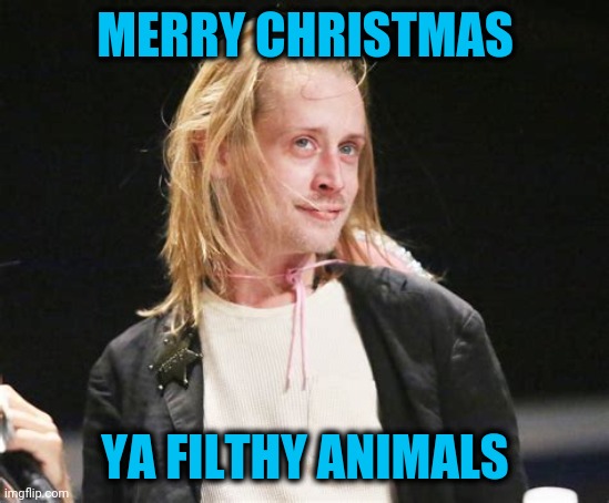 Best Wishes to All You Flippers | MERRY CHRISTMAS; YA FILTHY ANIMALS | image tagged in merry christmas | made w/ Imgflip meme maker