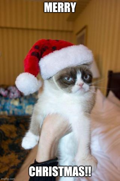 Merry Christmas! | MERRY; CHRISTMAS!! | image tagged in memes,grumpy cat christmas,grumpy cat | made w/ Imgflip meme maker